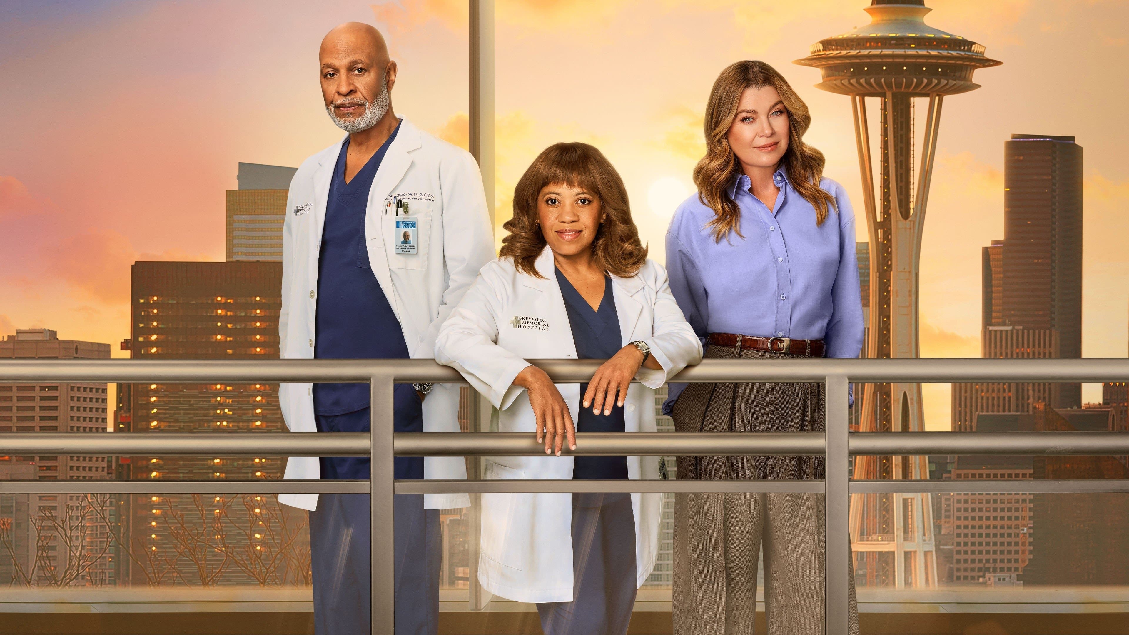 Grey's Anatomy series review spotlight on FilmeFarsi